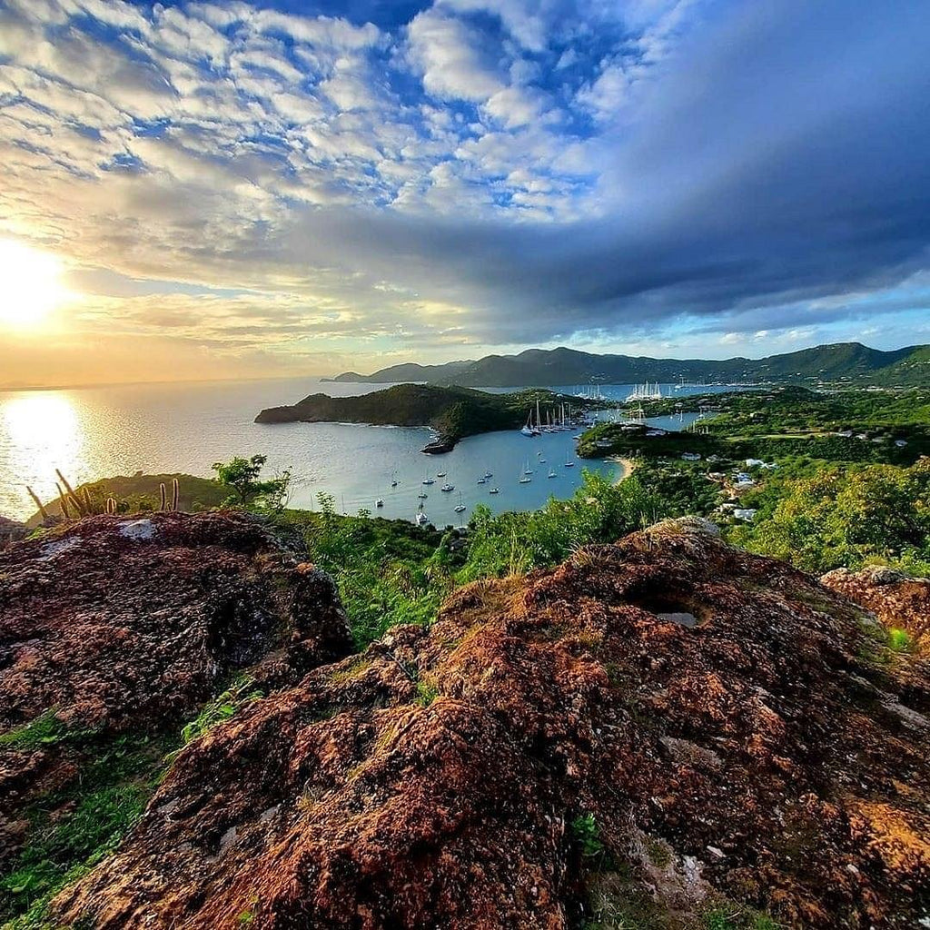 Island Tour